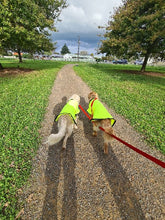 Load image into Gallery viewer, Dog Jackets - HiVis Softshell Waterproof Active Dog Range
