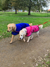 Load image into Gallery viewer, Dog Jackets - Active Dog Waterproof
