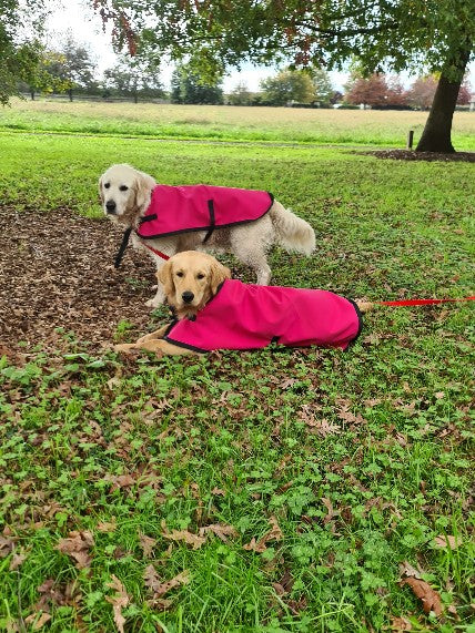 Dog Jackets - Waterproof Active Dog Range