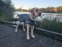 Load image into Gallery viewer, Dog Jackets - Active Dog Waterproof
