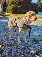 Load image into Gallery viewer, Dog Jackets - Active Dog Waterproof
