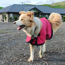 Load image into Gallery viewer, Dog Jackets - Active Dog Waterproof
