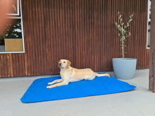 Load image into Gallery viewer, Dog Bed - Biggest Waterproof Ripstop Canvas
