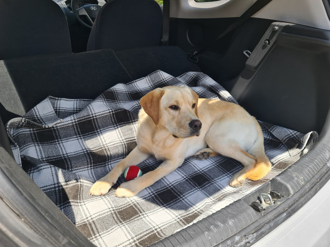 Dog Training and Vehicle Mat - wool blanket
