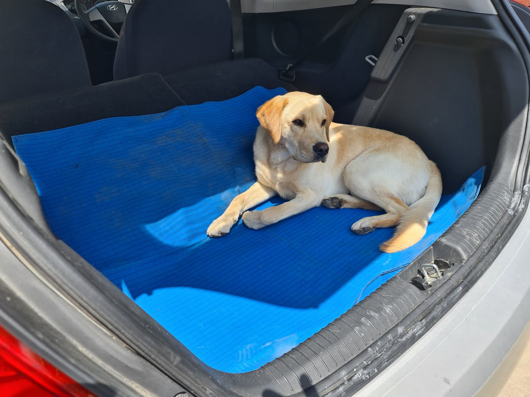 Dog Training and Vehicle Mat - canvas
