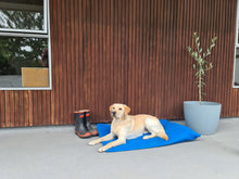 Load image into Gallery viewer, Dog Bed - Large Waterproof Ripstop Canvas
