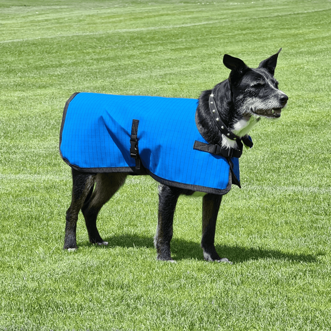 Dog Jackets - Heavy Duty Working Dog